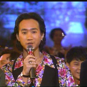 1990年十大劲歌金曲（合唱勇敢的中国人）花碟